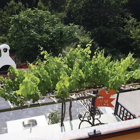 Gorgeous In Belavici With Kitchen